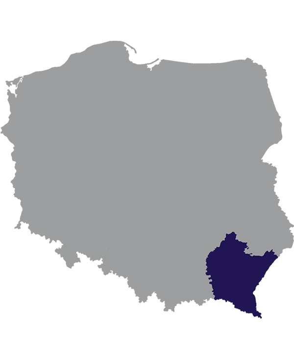 Landkaart Polen grijs met Woiwodschap Subkarpaten donkerblauw op transparante achtergrond - 600 * 733 pixels